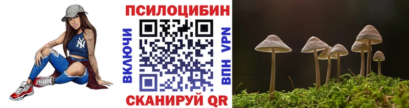 Купить закладки  Новый Оскол  Галлюциногенные грибы ЛСД 